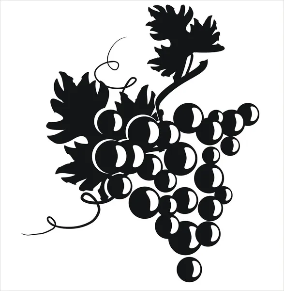 Bouquet Abstrait Raisins — Image vectorielle