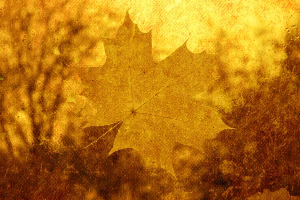 Backgrounds leaf — Stock Photo, Image