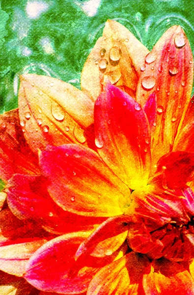 Квітка фон — стокове фото