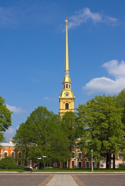 View of Peter and Paul Kathedral for trees,Saint Petersburg , Russia. clipart