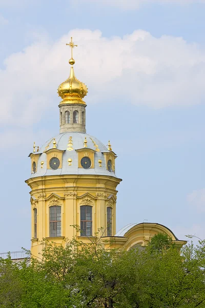 Blick Auf Peter Und Paulkathedrale Inmitten Von Bäumen Heiliger Petersburg — Stockfoto