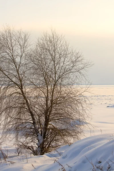 हिवाळी बीच — स्टॉक फोटो, इमेज