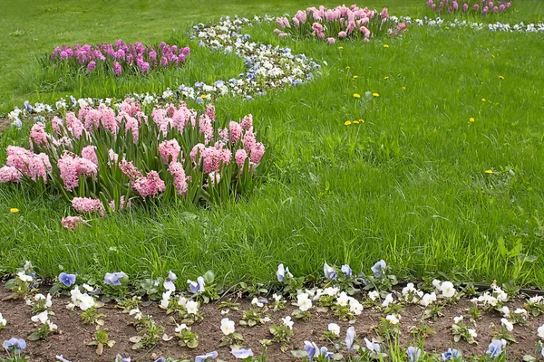 Näkymä Kukkapenkkiin Kaupungin Puistossa Keväällä — kuvapankkivalokuva
