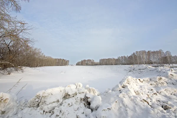 Blick Auf Schneebedeckten Raum Wald Und Blauen Himmel — Stockfoto