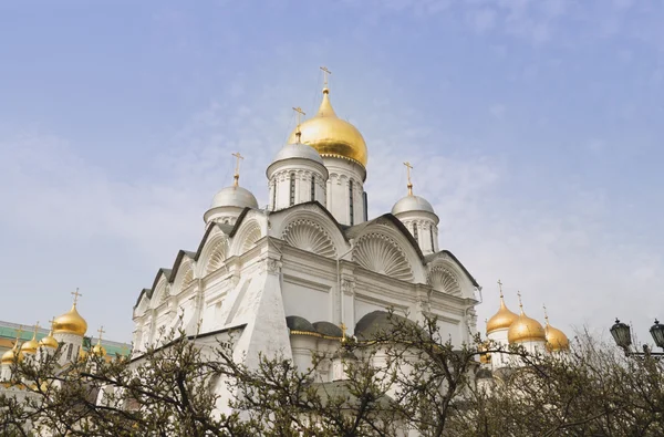 Gold domes of an orthodox cathedral — Stock Photo, Image