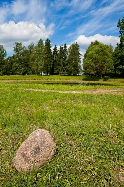Summer Landscape Large Stone — Stock Photo, Image