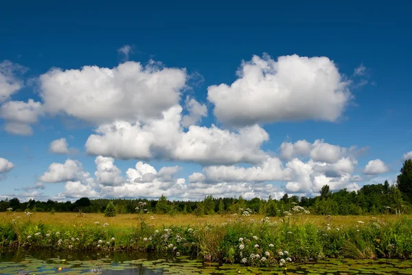 Літній Пейзаж Красивими Хмарами — стокове фото