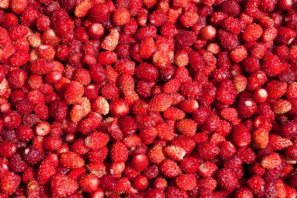 Background with fresh red strawberries — Stock Photo, Image