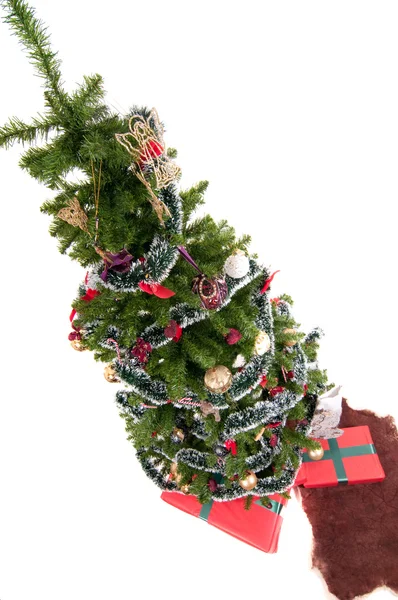 Karácsonyfa — Stock Fotó