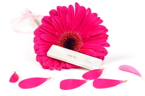 stock image Positive pregnancy test and gerbera