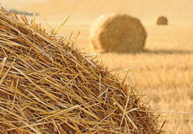 Straw stacks clipart