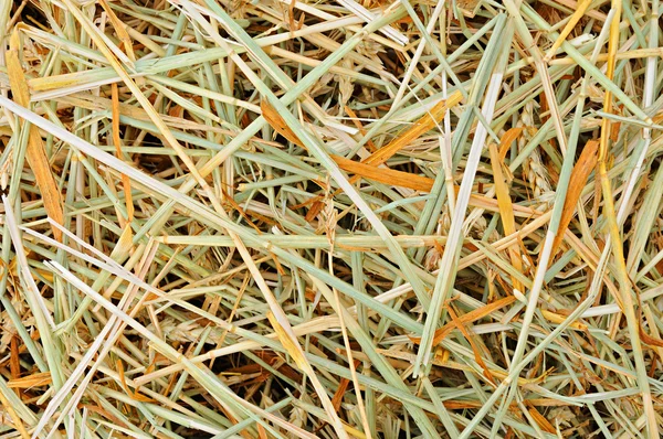 stock image Straw on a field