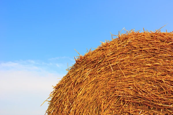Straw haystack — Stock Photo, Image