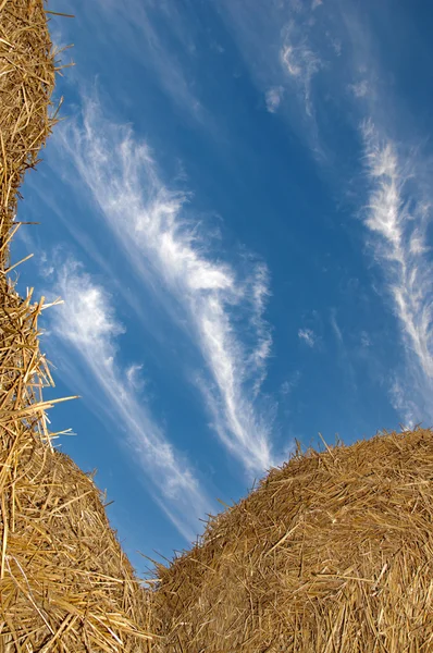 Straw stacks against a blue sky — Stock Photo, Image