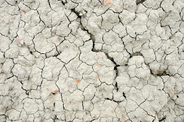 干燥的土壤 — 图库照片