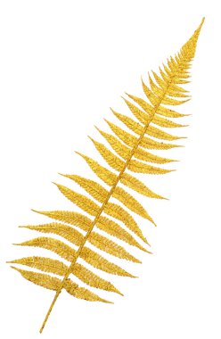 Gold branch of a fern clipart