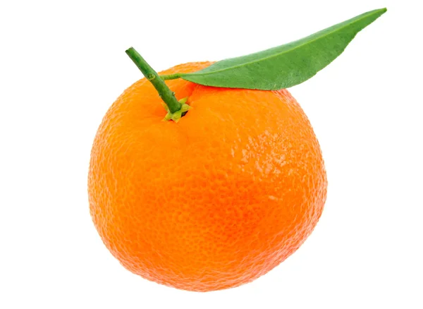 Mandarino con foglietto verde — Foto Stock