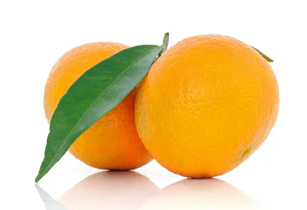 Tangerines με ένα πράσινο φυλλάδιο — Φωτογραφία Αρχείου