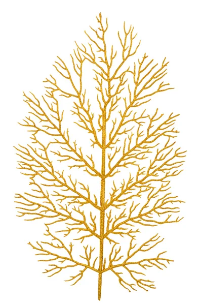 stock image Gold branch