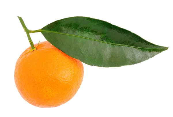 Mandarina con una hoja verde — Foto de Stock