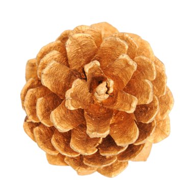 koni. Noel ağacı süsle