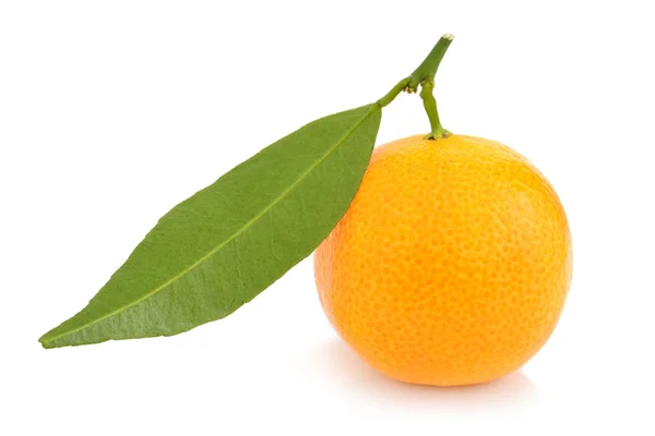 Mandarina con una hoja verde — Foto de Stock