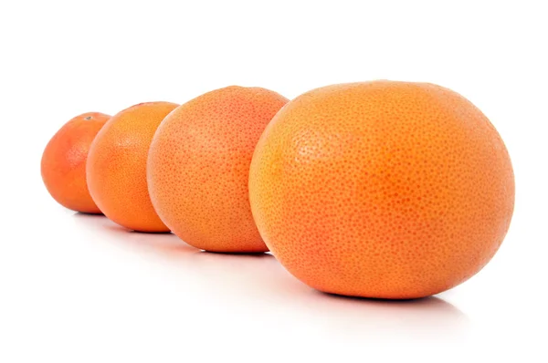 Vier grapefruits — Stockfoto