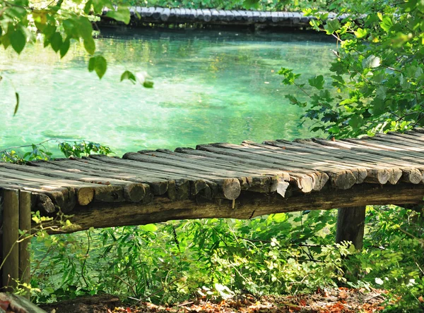 Caminho de madeira no lago — Fotografia de Stock