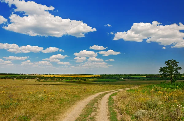 Road in a field — Stock Photo, Image