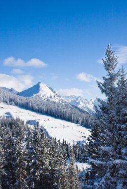 Ski resort schladming. Avusturya