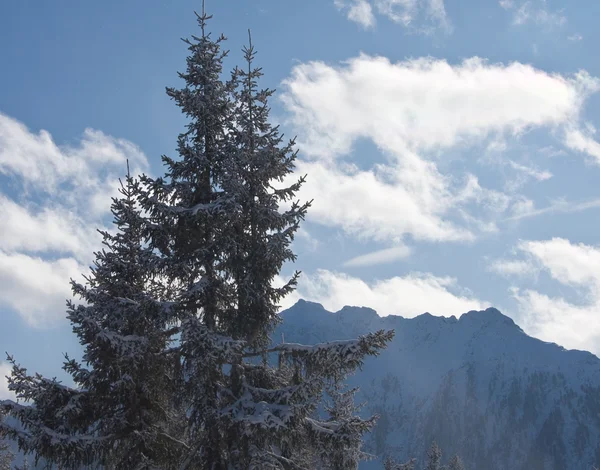 Berge unter Schnee. Skigebiet Schladming. Österreich — Stockfoto