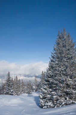 Dağları kar altında. Ski resort schladming. Avusturya