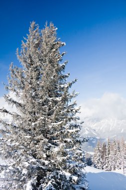 Dağları kar altında. Ski resort schladming. Avusturya