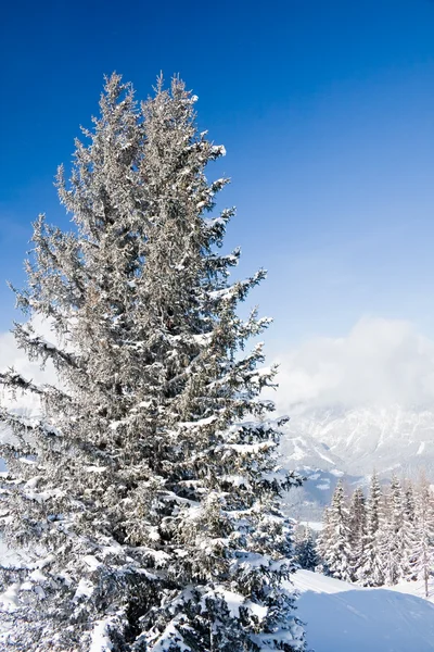 Góry pod śniegiem. Ośrodek narciarski schladming. Austria — Zdjęcie stockowe
