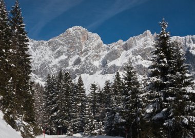 dachstein görüntüleyin. Avusturya