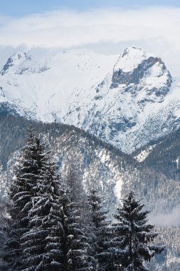 Dağları kar altında. Ski resort schladming. Avusturya