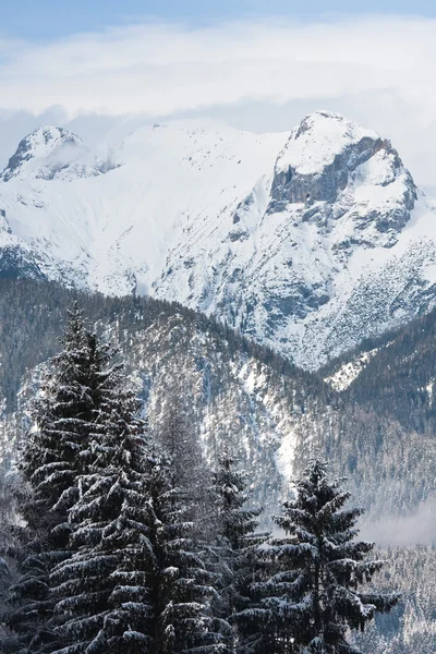 Mountains under snow. Ski resort Schladming . Austria — Stock Photo, Image