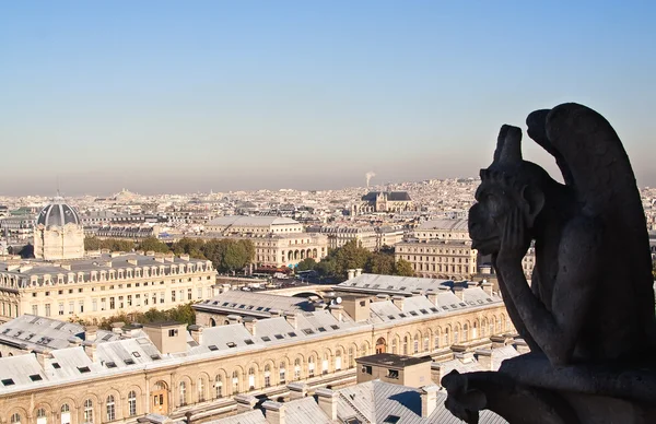 Вид Париж Парижской Богоматери Франция — стоковое фото