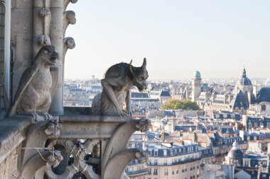 Görünümü Paris notre dame de paris. Fransa.