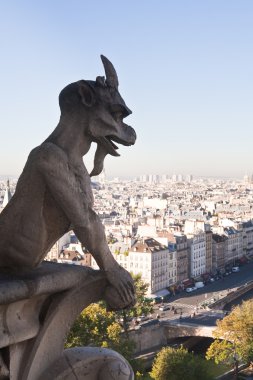 Görünümü Paris notre dame de paris. Fransa.