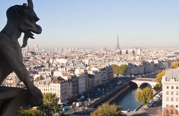 Pohled na Paříž notre Dame de paris. Francie. — Stock fotografie