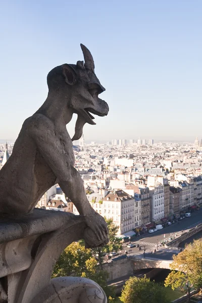 Pohled Paříž Notre Dame Paris Francie — Stock fotografie