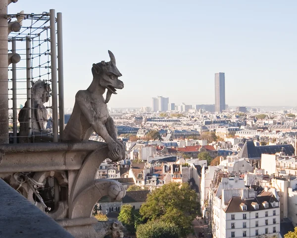 Vista París Desde Notre Dame Paris Francia — Foto de Stock