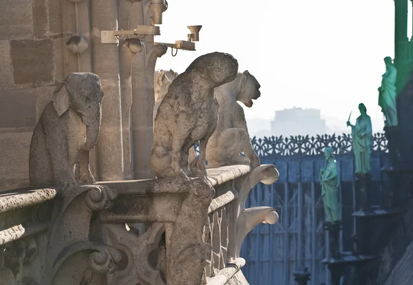 Notre Dame Paris Francia — Foto Stock