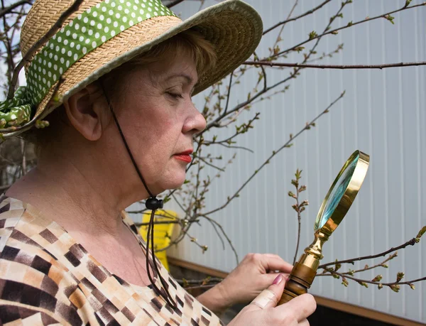 Une femme inspecte la branche cerise i — Photo