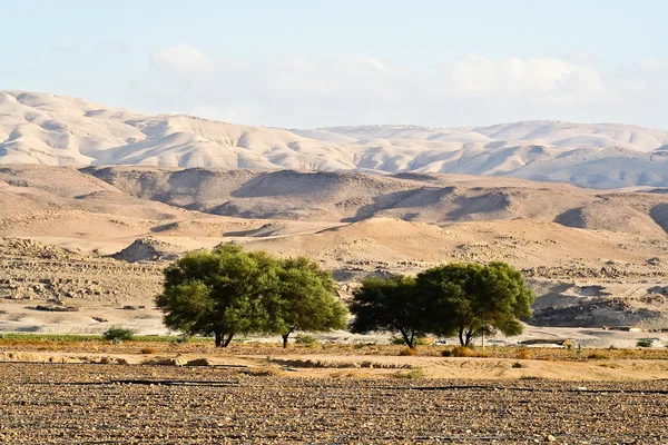 Jordanische Landschaft — Stockfoto