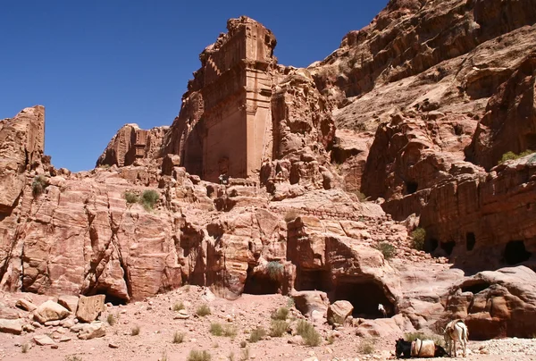 Petra en Jordanie - ville taillée dans le rocher — Photo