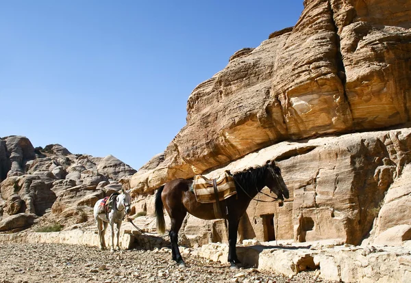 Gorge Petra na Jordânia — Fotografia de Stock