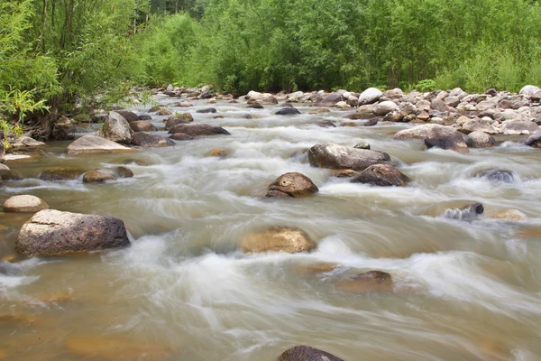 stock image River