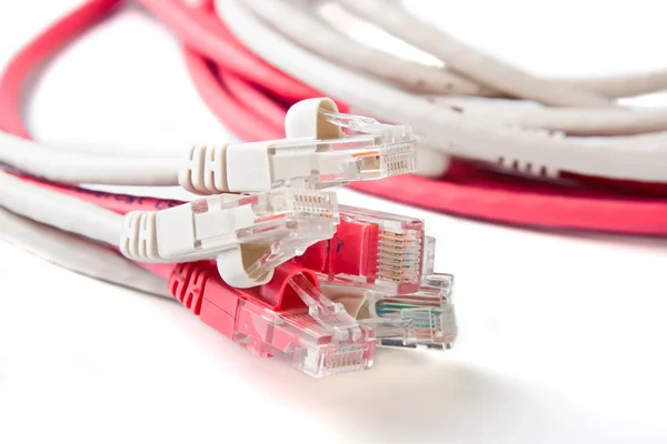stock image Patch cord